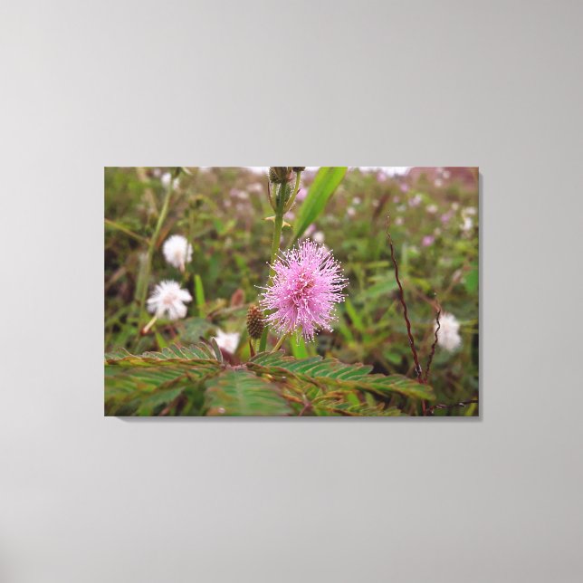 Impressão Em Tela Maria fecha a porta  - Campo (Frente)