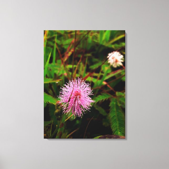 Impressão Em Tela Maria-fecha-a-porta lilas (Frente)