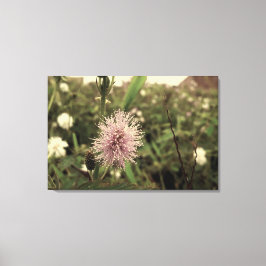 Impressão Em Tela Maria-fecha-a-porta - OLD