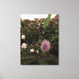 Impressão Em Tela Maria-fecha-a-porta - ROSA