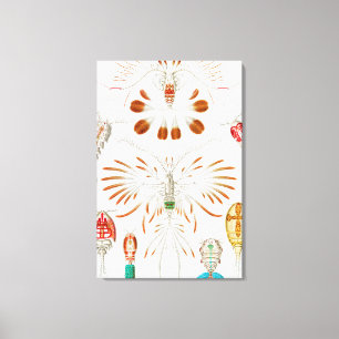 Impressão Em Tela Marine Life Crustaceans, Copepoda de Ernst Haeckel