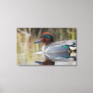 Impressão Em Tela Marreca-pintada
