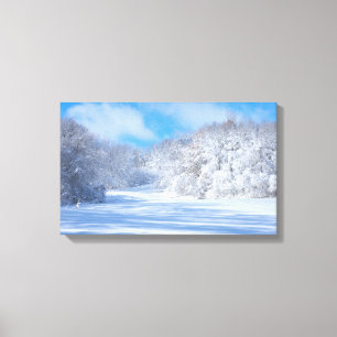 Impressão Em Tela Marthaler Park Snowy Colinas