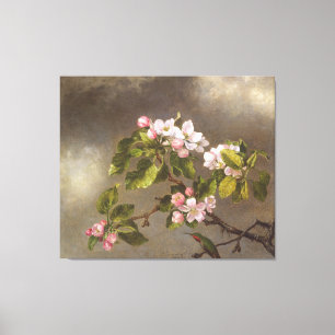 Impressão Em Tela MARTIN J. HEADE - Blossomas de Mingbird e Apple -