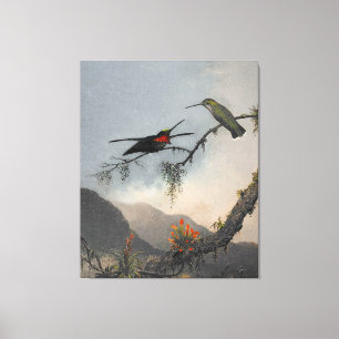 Impressão Em Tela MARTIN J. HEADE Starthroat torrado em estilhaço (1