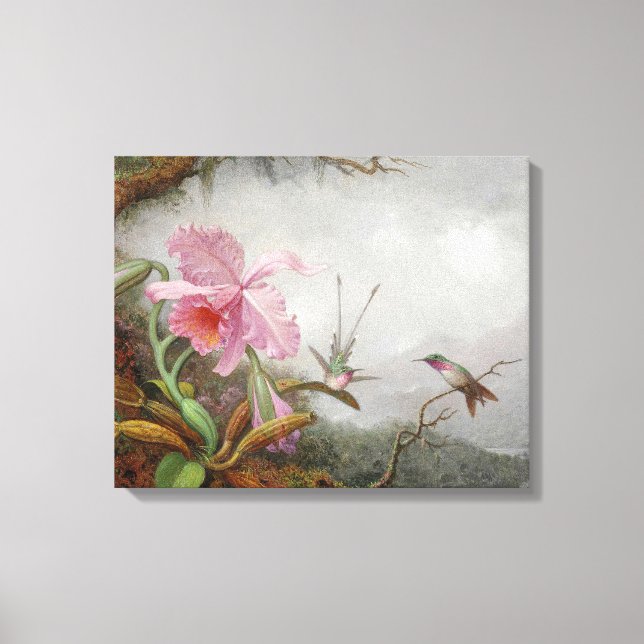 Impressão Em Tela MARTIN JOHNSON HEADE - Aves e Orquídeas - (Frente)