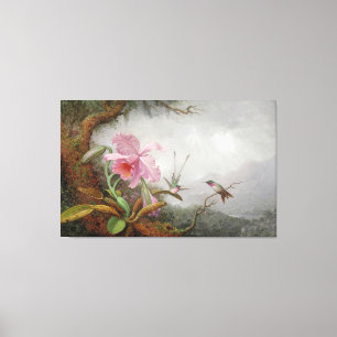 Impressão Em Tela MARTIN JOHNSON HEADE - Aves e Orquídeas -