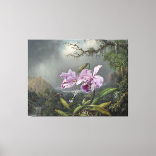 Impressão Em Tela MARTIN JOHNSON HEADE - Estudo de uma Orquídea - 18