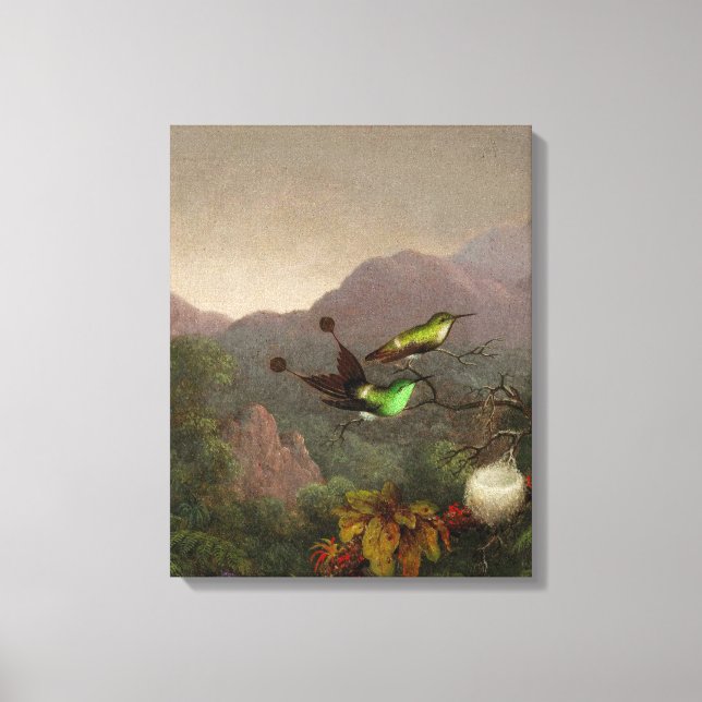 Impressão Em Tela MARTIN JOHNSON HEADE - Racket-Tail, Brasil - 1865 (Frente)