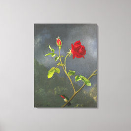 Impressão Em Tela MARTIN JOHNSON HEADE - Rosa vermelha com Ruby Thro