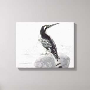 Impressão Em Tela Martinho pescatore preto e branco