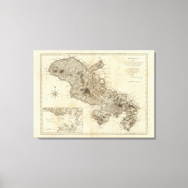 Impressão Em Tela Martinico (Frente)