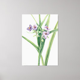 Impressão Em Tela Mary Vaux Walcott art