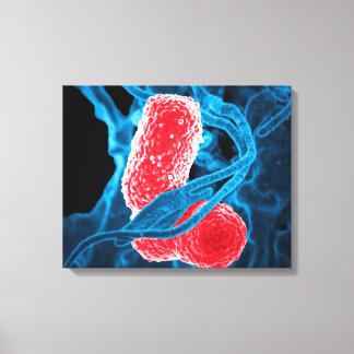 Impressão Em Tela (MDR) Klebsiella pneumoniae abstrato de arte