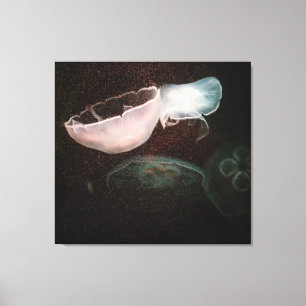 Impressão Em Tela Medusa bonitas