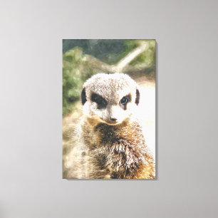 IMPRESSÃO EM TELA MEERKAT