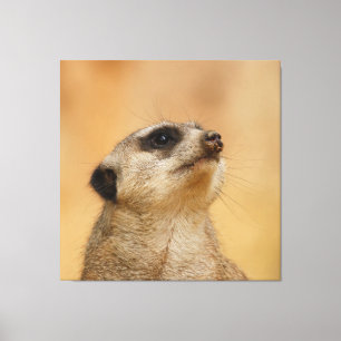 Impressão Em Tela Meerkat 001 por JAMFoto