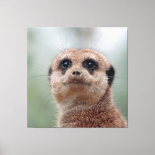 Impressão Em Tela Meerkat 020