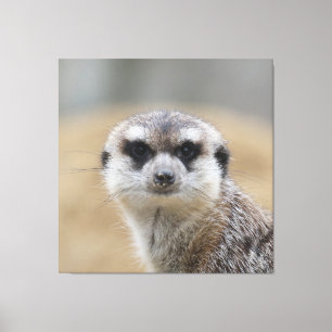 Impressão Em Tela Meerkat 022