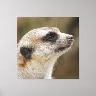 Impressão Em Tela Meerkat 028
