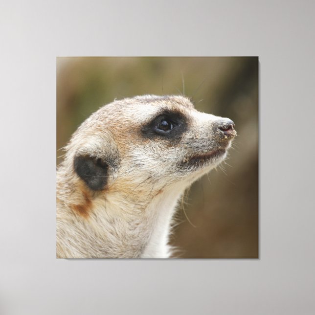 Impressão Em Tela Meerkat 028 (Frente)