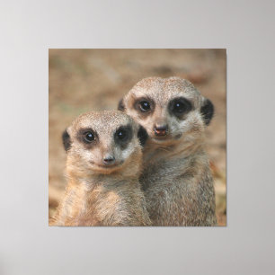 Impressão Em Tela Meerkat 033