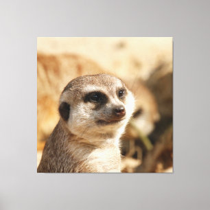 Impressão Em Tela Meerkat 052