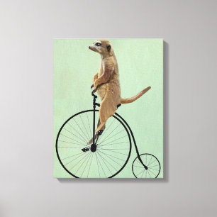 Impressão Em Tela Meerkat em Black Penny Farthing