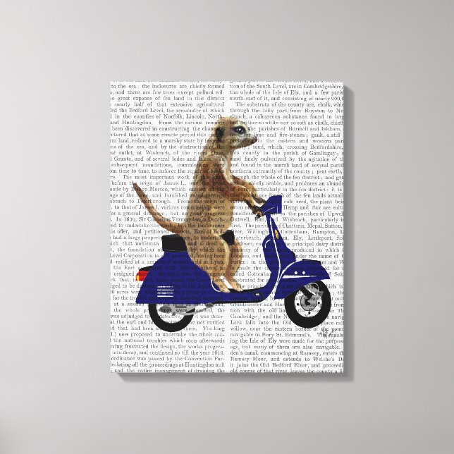 Impressão Em Tela Meerkat em Blue Moped Escuro (Frente)