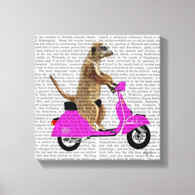 Impressão Em Tela Meerkat em Moped Rosa (Frente)