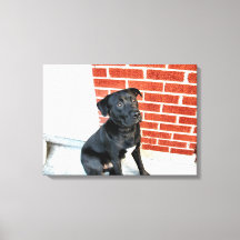 Meia-Noite em um Humor Pensativo