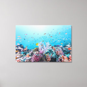 Impressão Em Tela Mergulho De Scuba Com Recifes E Corais Coloridos