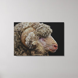 Impressão Em Tela Merino ovina art