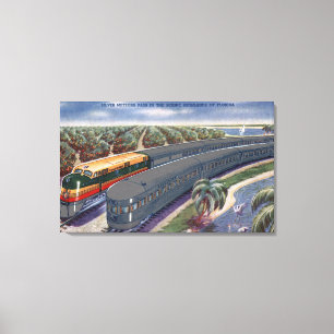 Impressão Em Tela Meteoros de prata "costa" em montanhas de Florida