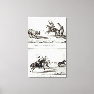 Impressão Em Tela Métodos de jogar o laço e os Bolas