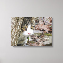 Impressão Em Tela Meu Gato De Caça