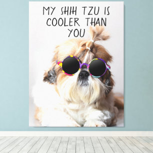 Impressão Em Tela Meu Shih Tzu É Mais Legal Do Que Seus Óculos De So