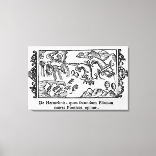 Impressão Em Tela Migração dos lemmings