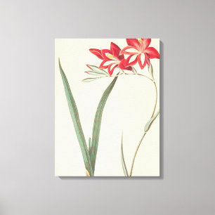 Impressão Em Tela Milho-Bandeira magnífica