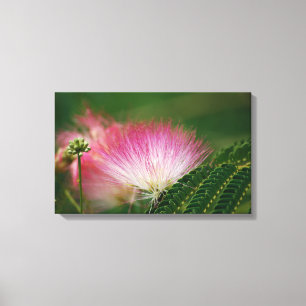 Impressão Em Tela Mimosa cor-de-rosa de seda
