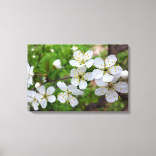 Impressão Em Tela minúsculas flores brancas