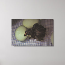 Impressão Em Tela Minutos velhos