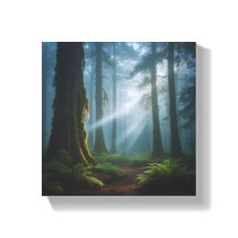 Misty Forest Magic