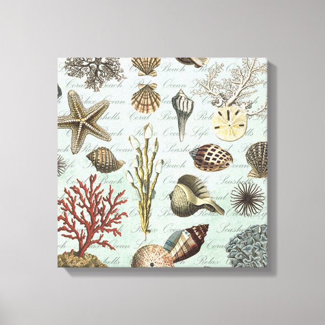 Impressão Em Tela Modern Vintage Seashells (Frente)