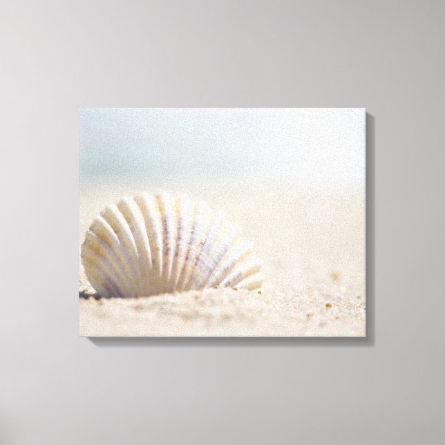 Impressão Em Tela Mollusk Seashell (Frente)