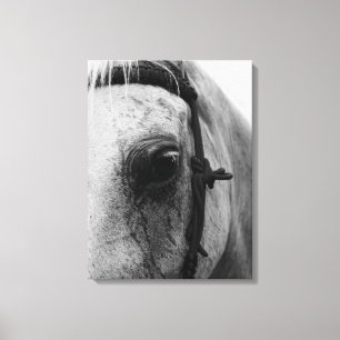 Impressão Em Tela Monochrome Horse Eye Portrait