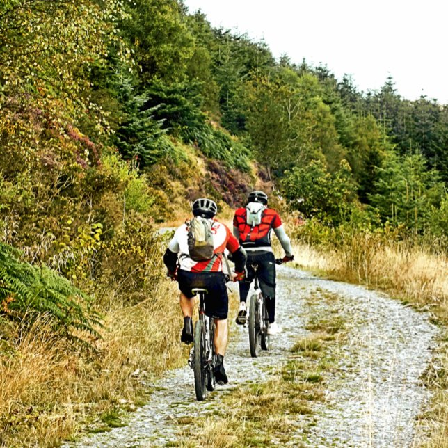 IMPRESSÃO EM TELA MONTANHA BIKING (Criador carregado)