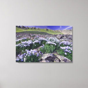 Impressão Em Tela Montanhas e flores silvestres em prado alpino,