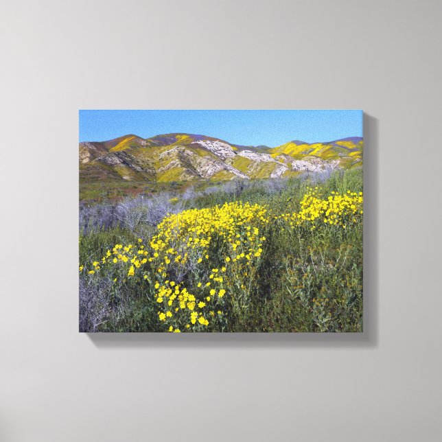 Impressão Em Tela Monumento Nacional do Carrizo Plain (Frente)