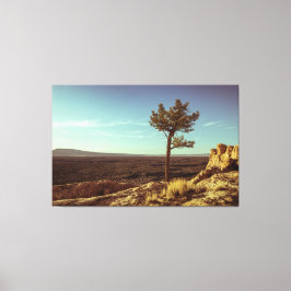 Impressão Em Tela Monumento Nacional El Malpais